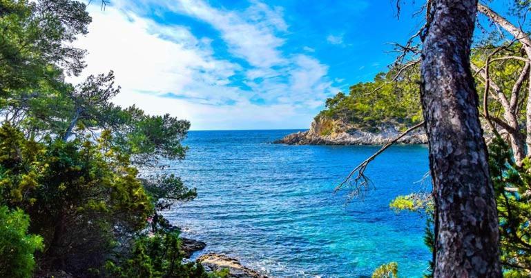 Les Galets De Sanary - Vue Mer Εξωτερικό φωτογραφία